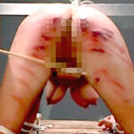 外国人凌辱動画 血針鞭（関西マニア倶楽部）